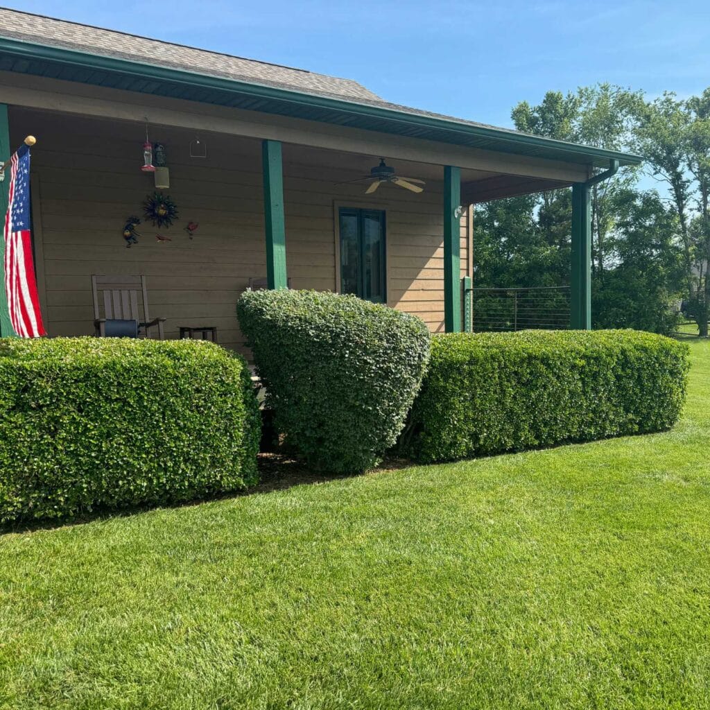 Hedge Trimming in Sevier County