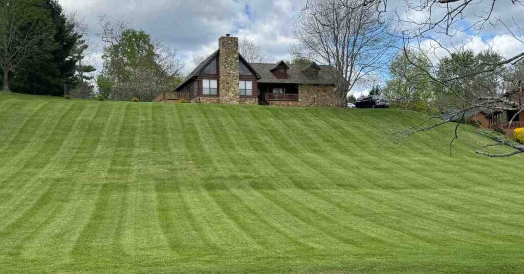 Lawn Care in Wears Valley