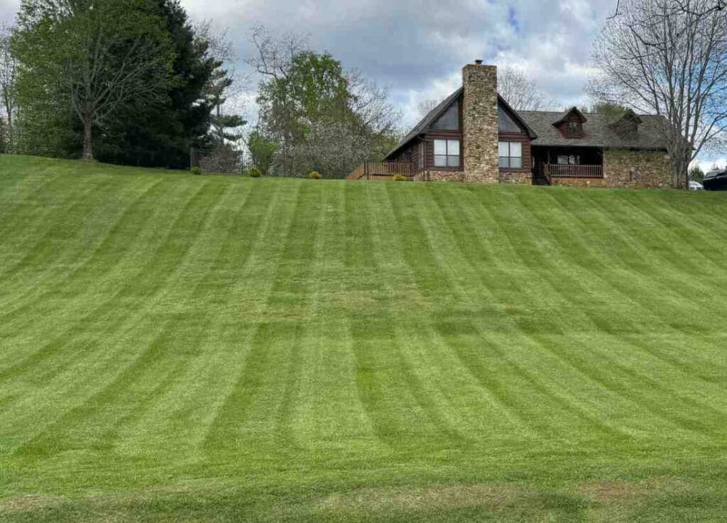 Sevier County Lawn Care Yard