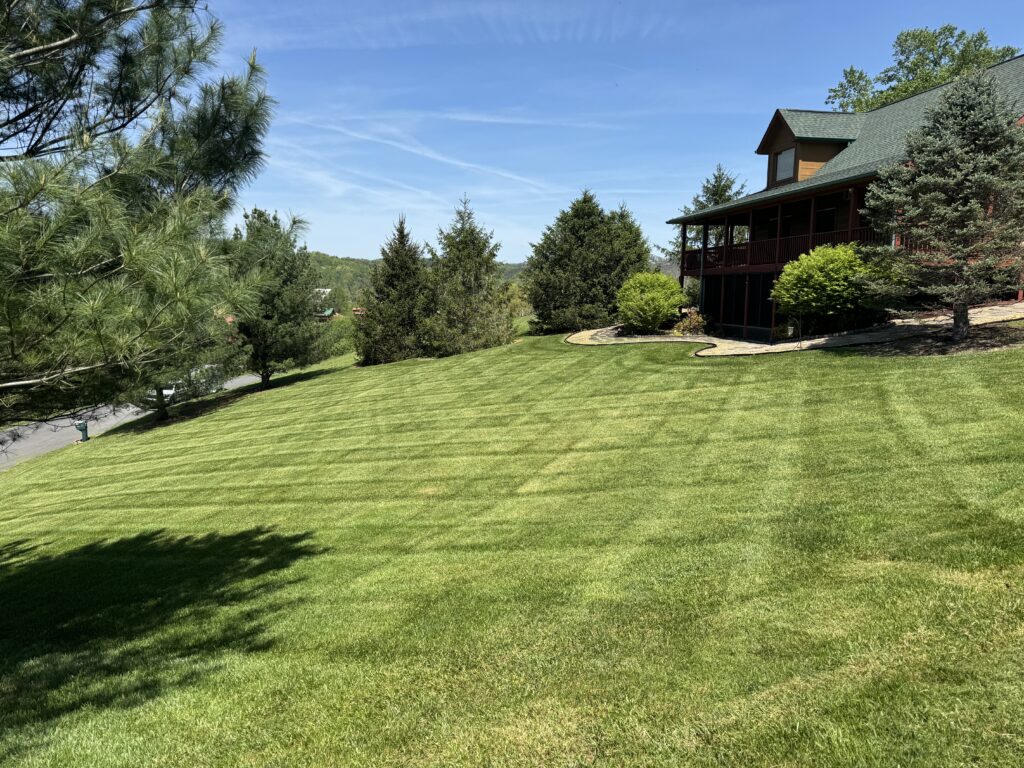 lawn care in wears valley