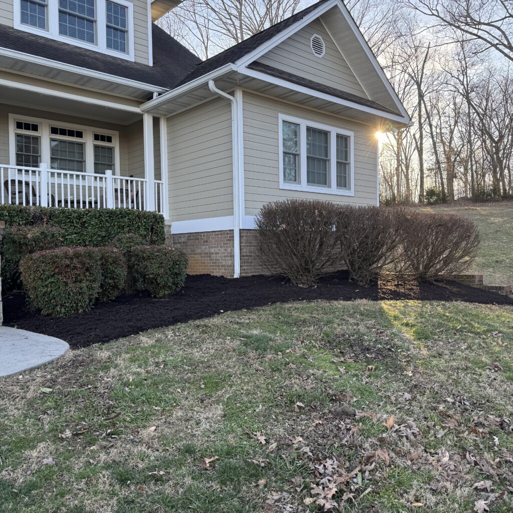 front landscape bed
