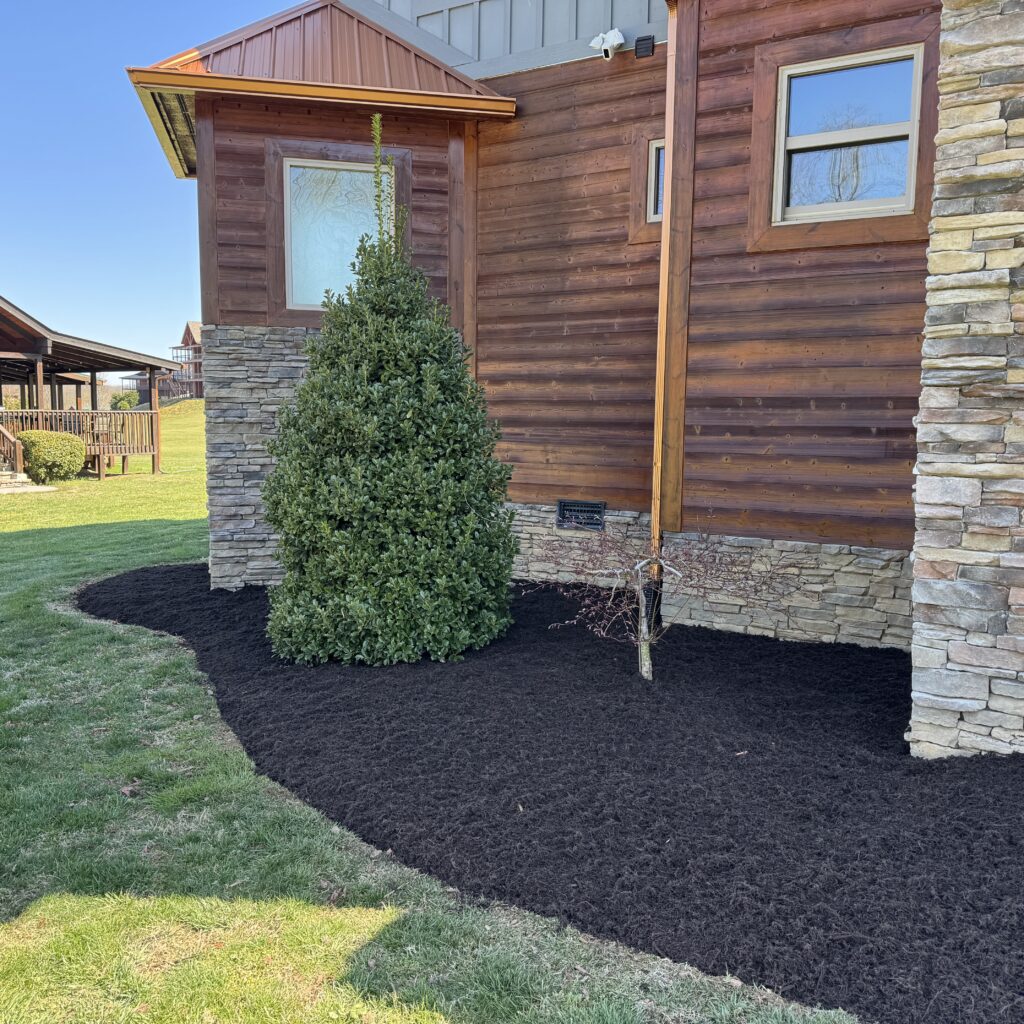brown mulch wears valley