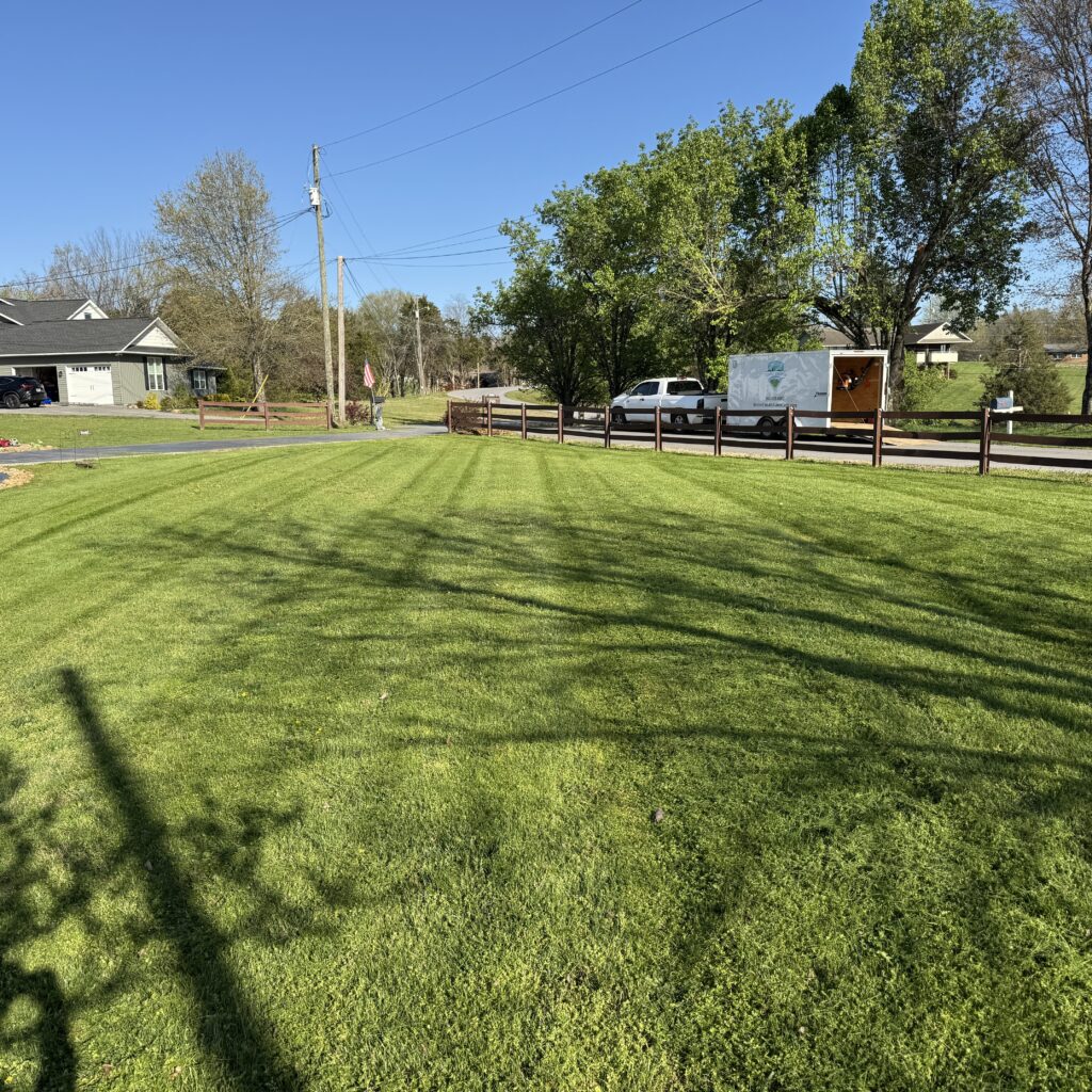 lawn care services
