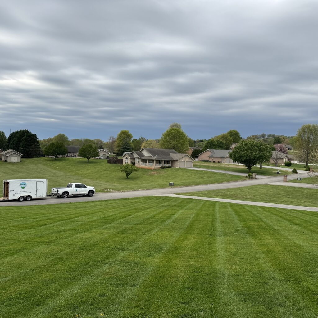 Grass Cutting Sevier County